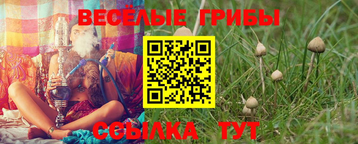 Галлюциногенные грибы GOLDEN TEACHER Каспийск