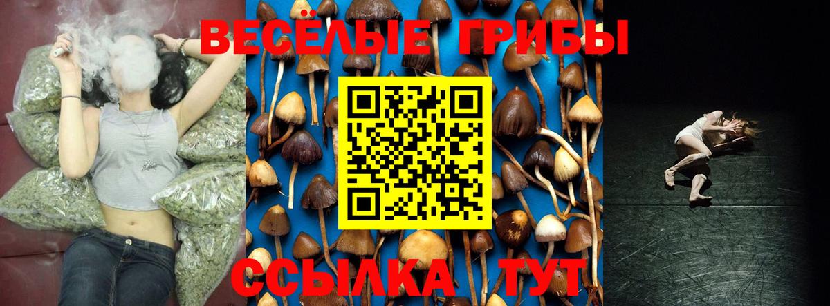 Каспийск  Галлюциногенные грибы ЛСД  Вход с VPN 